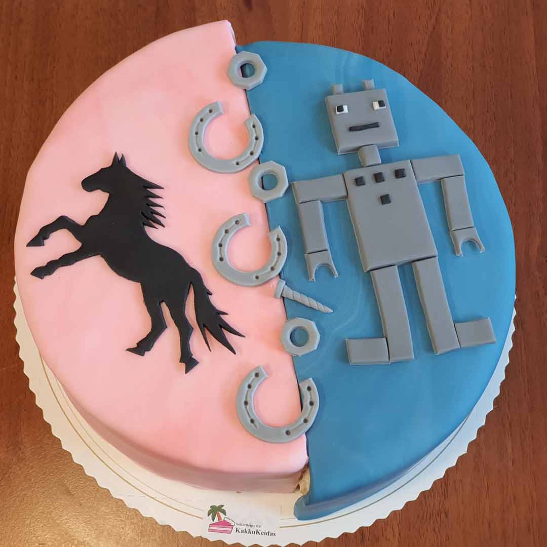 Puoliksi jaettu kakku, jonka vaaleanpunaisella puolella on heppakoriste ja sinisellä robottiaihe